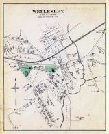 Needham Town - Wellesley, Norfolk County 1876